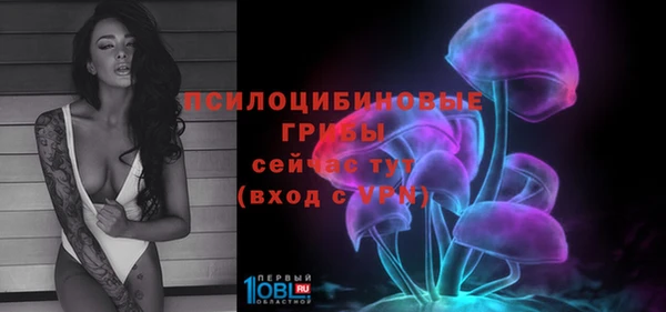 2c-b Абдулино