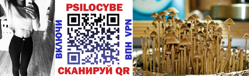 Псилоцибиновые грибы Cubensis  дарк нет наркотические препараты  Тамбов 
